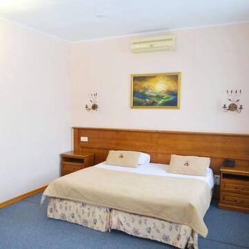 Стандарт двуспальный совместный в Гостинице Сударушка